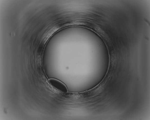 X0000103221177200809111501