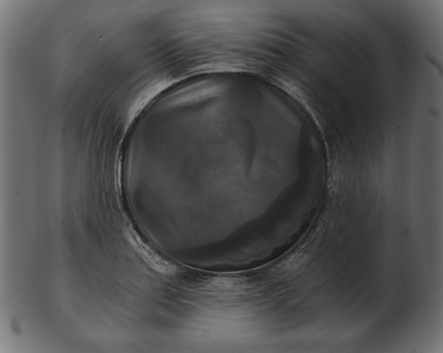 X0000103221179200809111501