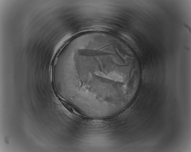 X0000103221180200809111501