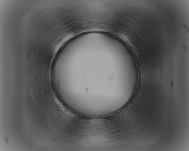 X0000103221181200809111501