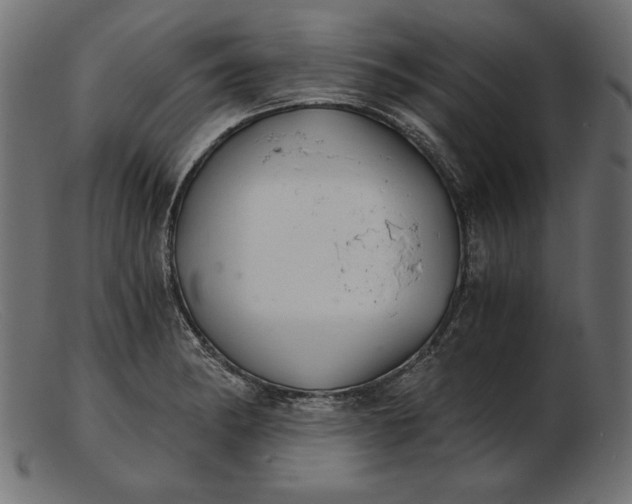 X0000103221182200809111501