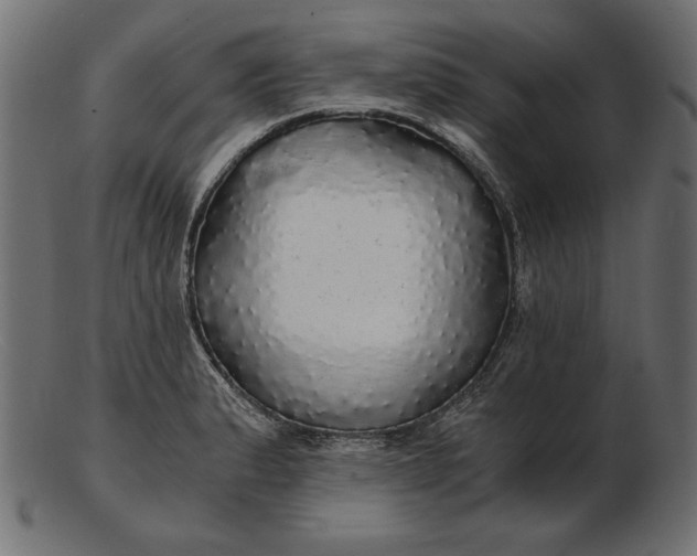 X0000103221183200809111501