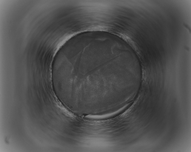 X0000103221184200809111501