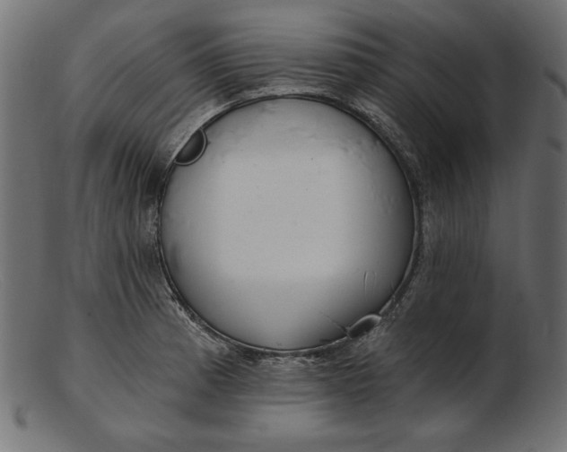 X0000103221185200809111501