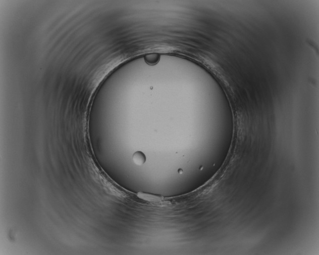 X0000103221186200809111501