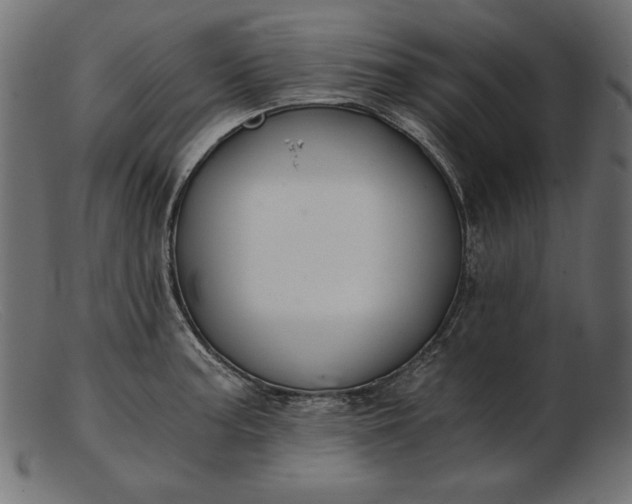 X0000103221187200809111501