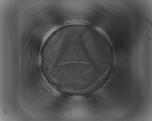 X0000103221188200809111501