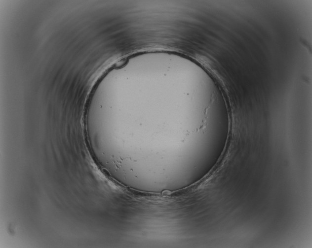 X0000103221189200809111501