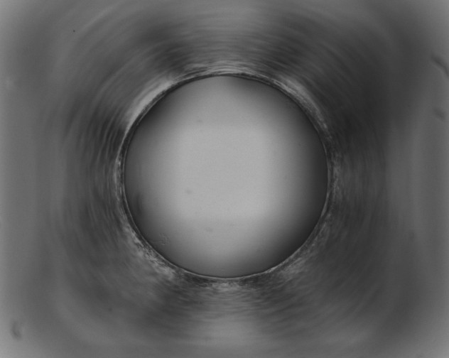 X0000103221190200809111501