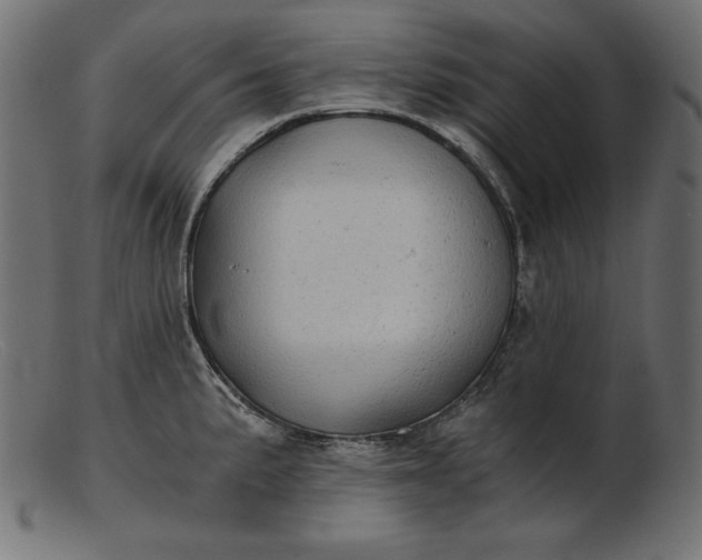 X0000103221191200809111501