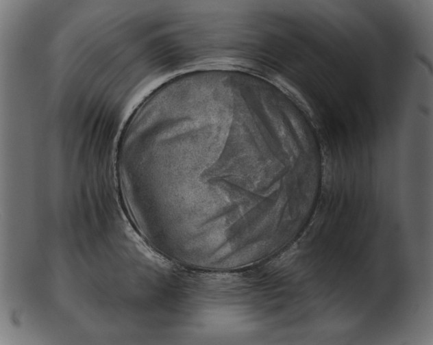 X0000103221192200809111501