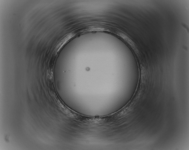 X0000103221193200809111501