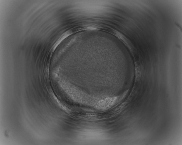 X0000103221194200809111501