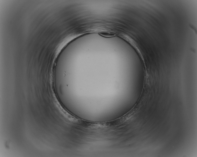 X0000103221195200809111501