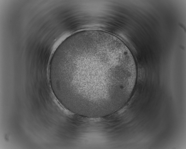 X0000103221196200809111501