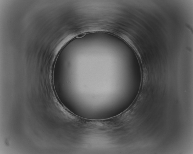 X0000103221197200809111501