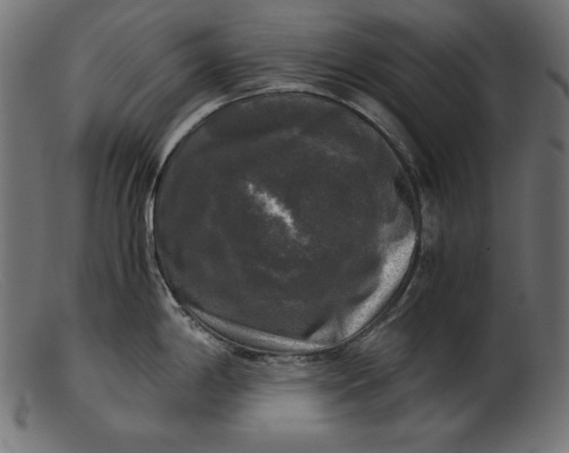 X0000103221198200809111501