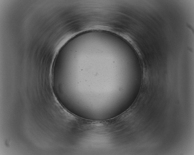 X0000103221199200809111501