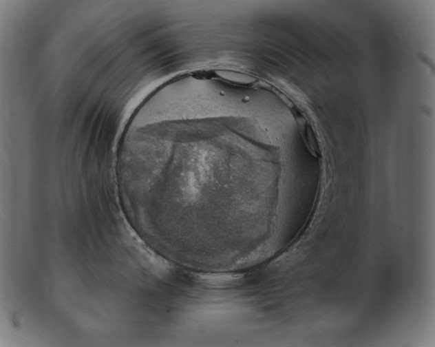 X0000103221200200809111501