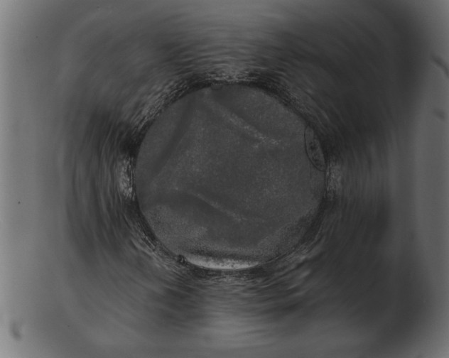 X0000103221202200809111500