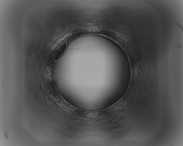 X0000103221205200809111500