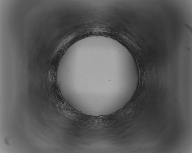 X0000103221207200809111500