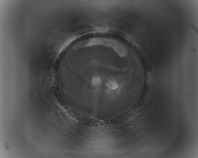 X0000103221208200809111500