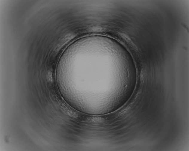 X0000103221209200809111500