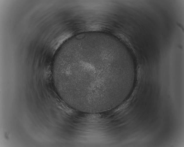 X0000103221210200809111500