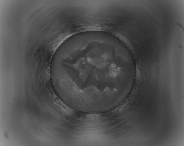 X0000103221212200809111500