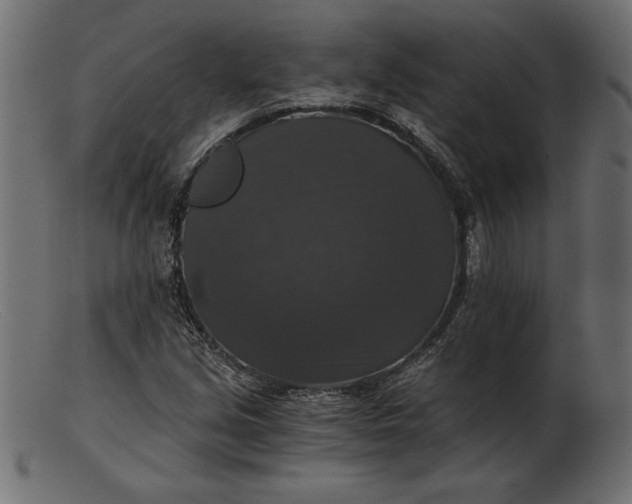 X0000103221213200809111501