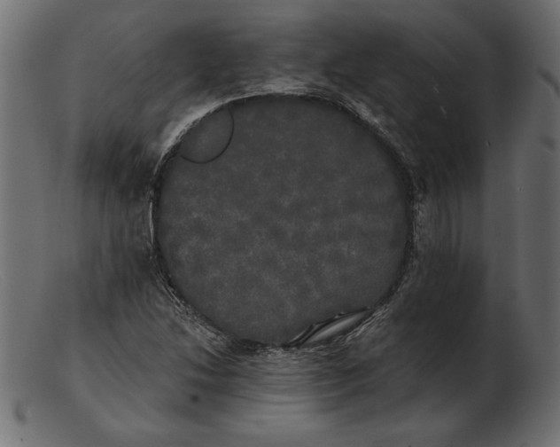 X0000103221214200809111501