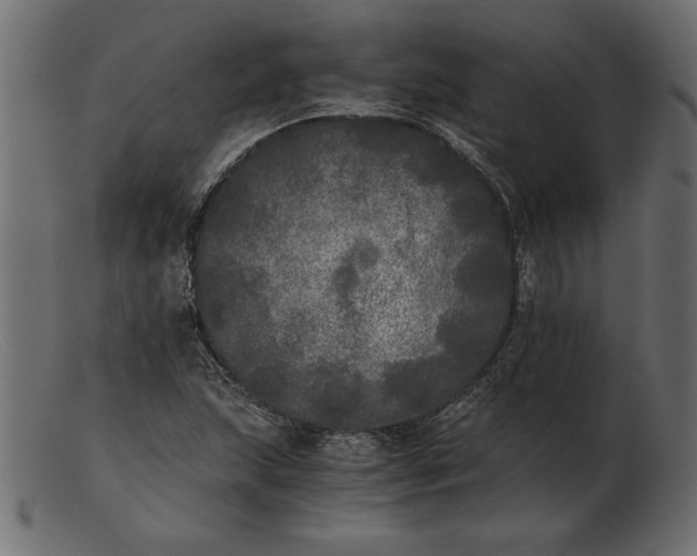 X0000103221215200809111501