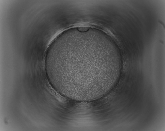 X0000103221216200809111501