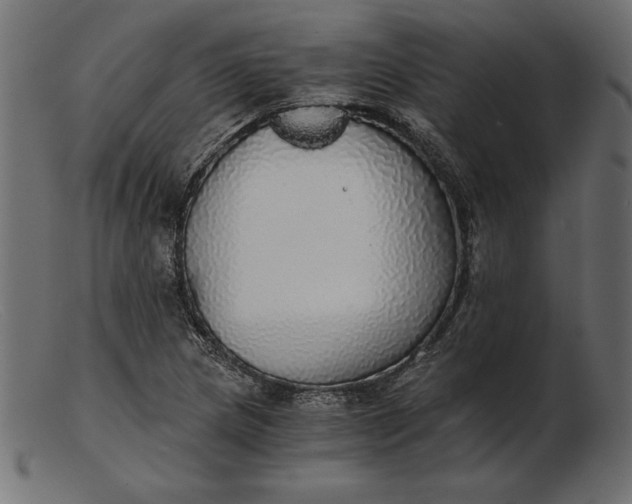 X0000103221217200809111501