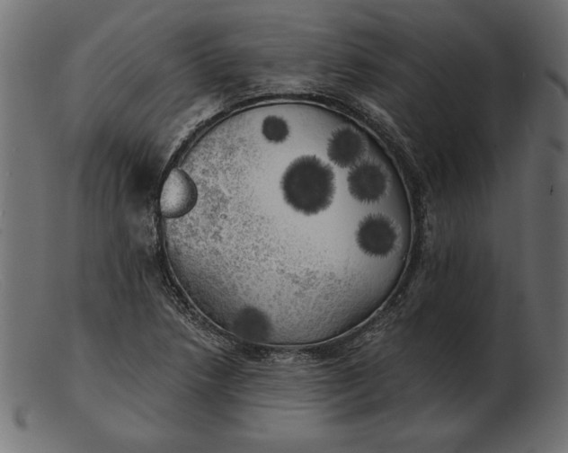 X0000103221218200809111501