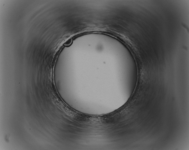 X0000103221220200809111501