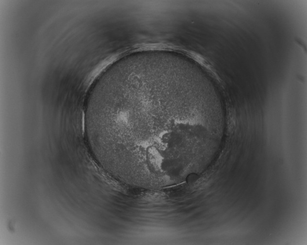 X0000103221221200809111501