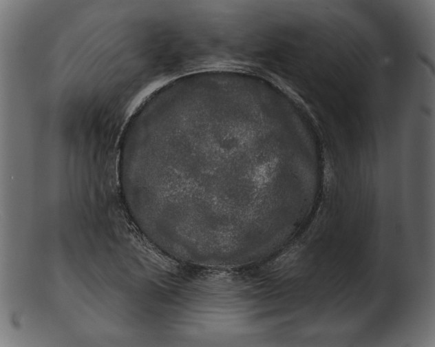 X0000103221222200809111501