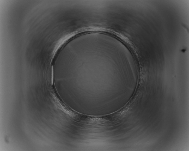 X0000103221223200809111501