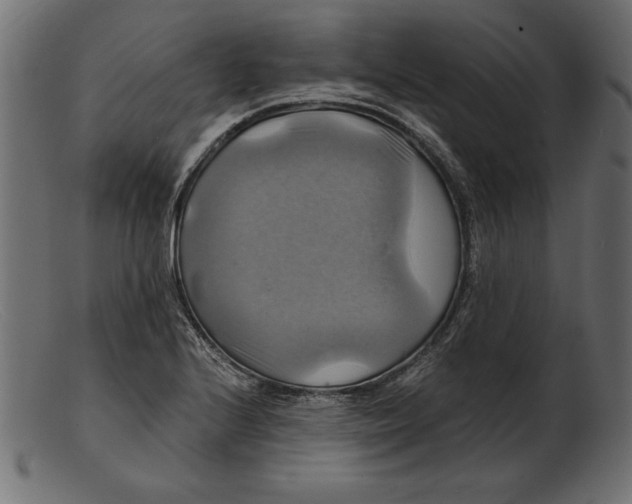 X0000103221224200809111501