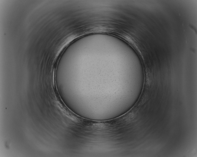 X0000103221227200809111501