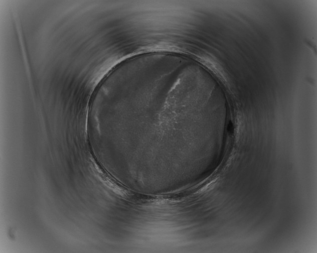 X0000103221228200809111501