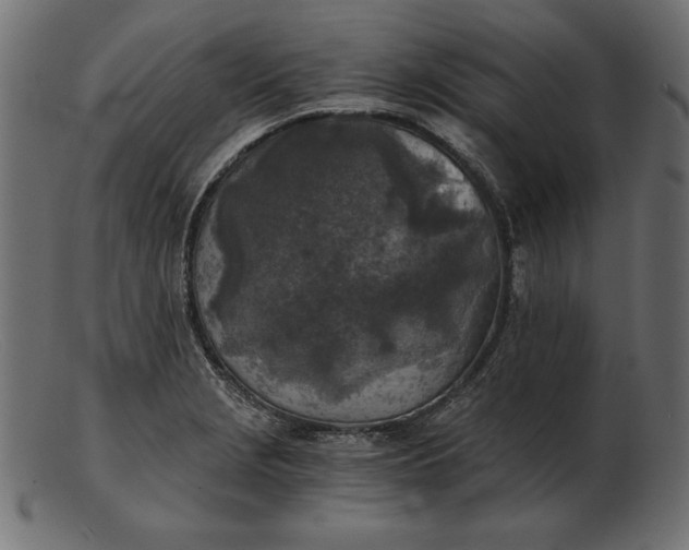 X0000103221229200809111501