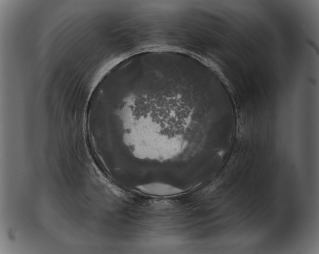 X0000103221231200809111501