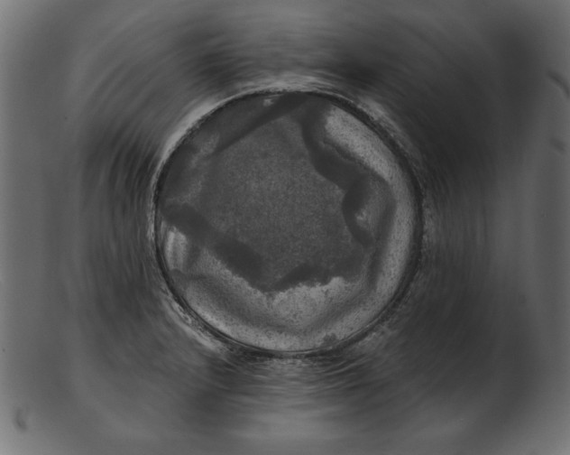 X0000103221232200809111501