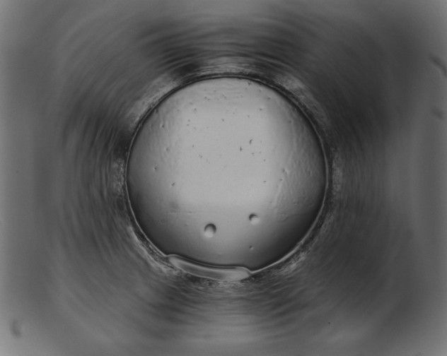 X0000103221233200809111501