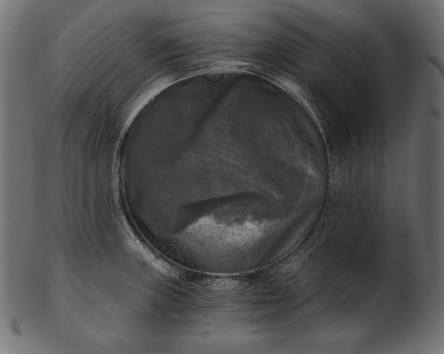 X0000103221235200809111501