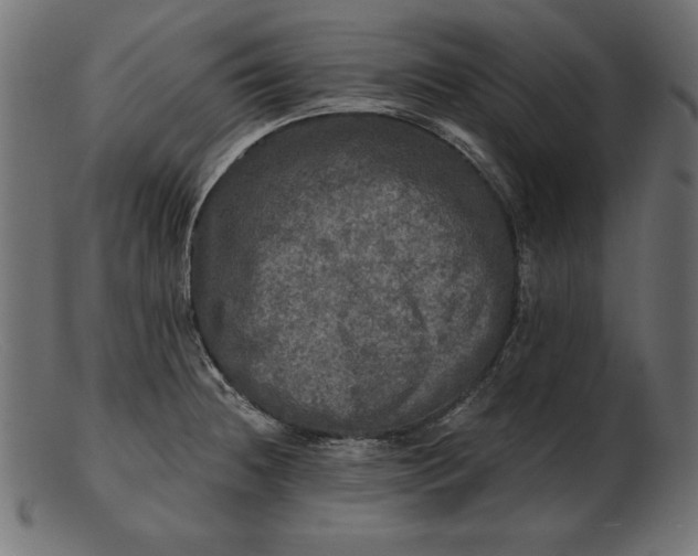 X0000103221236200809111501