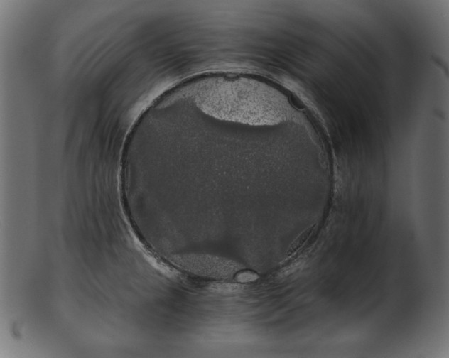 X0000103221237200809111501